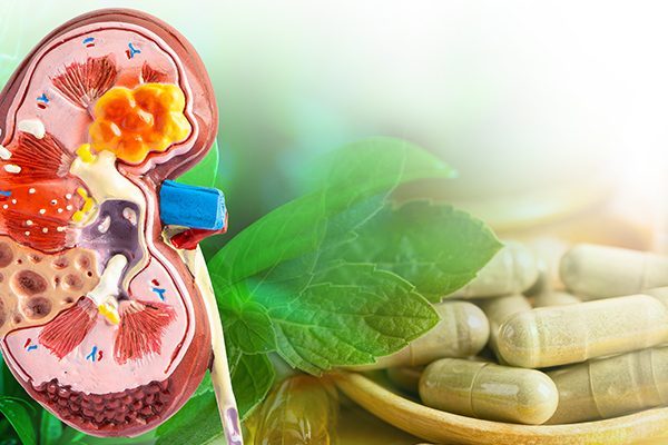 Liver and Kidney Detox