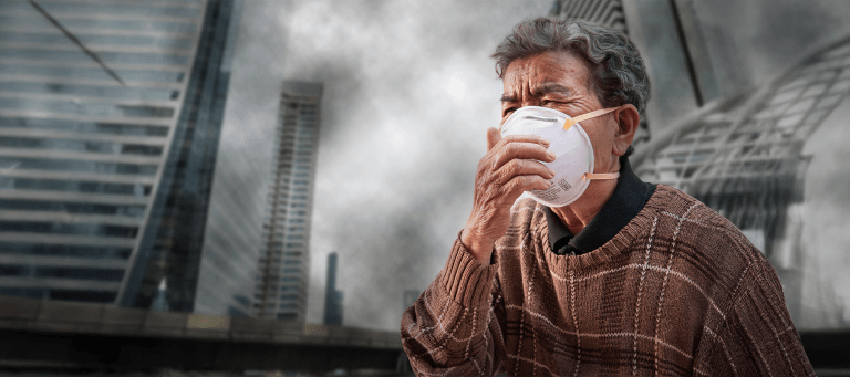 Pollen allergy season